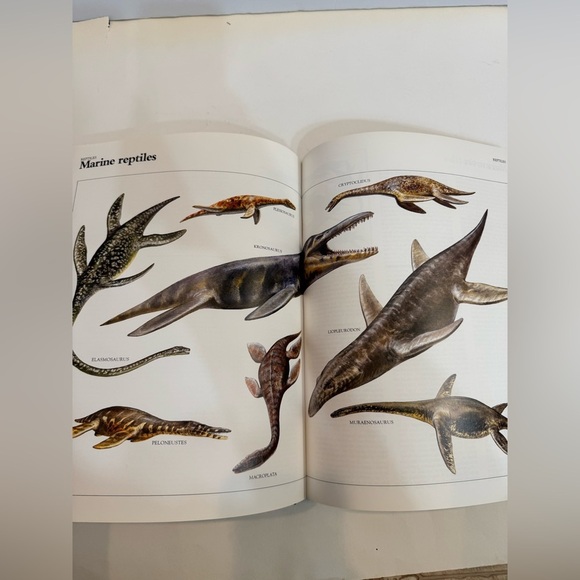 Macmillan Illustrated Encyclopedia of Dinosaurs Children’s Book - Picture 7 of 10